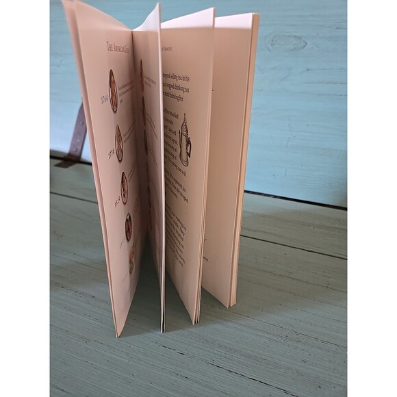 American Girl BOOK Happy Birthday Felicity Pleasant Company 1774 Story Paperback - Picture 7 of 8